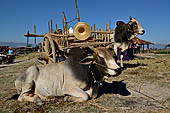 Inle Lake Myanmar. The market of the village of Nampan on the eastern lakeshore. 